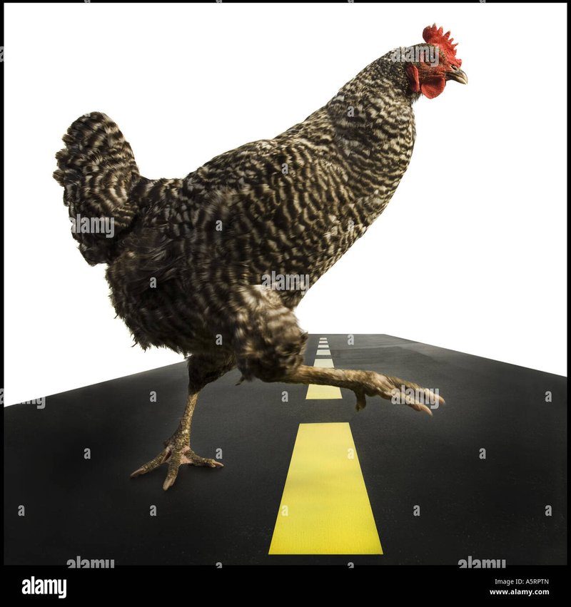 Chicken road oficial in Spain